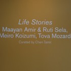 Installation image from Life Stories, 2008, Gallery TPW