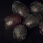 Davida Nemeroff, <em>A Study of Seedless Grapes</em>, 2011