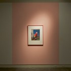 Davida Nemeroff, <em>Parrot</em>, inkjet print, 2010, installation view
