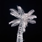 Fraser McCallum, <em>Palm Tree</em>, 2012