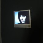 Geoffrey Pugen, <em>The Rhine Experiments</em>, VHS transferred to digital video, installation view, 2010