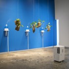 Juan Ortiz-Apuy, <em>Guaria Morada</em>, 2016. Installation View. Documentation: Sam Cotter