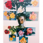 Jennifer Murphy, Roses, 2015