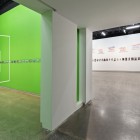 Installation view, Luis Jacob, <em>Habitat</em>, 2017. Documentation: Toni Hafkenscheid.